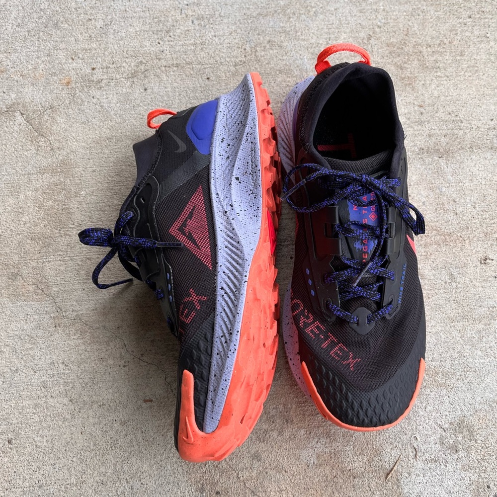 Nike Pegasus trail Goretex 3 shoes